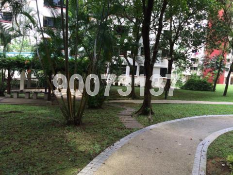 Blk 533 Bukit Panjang Ring Road (Bukit Panjang), HDB 4 Rooms #121174312